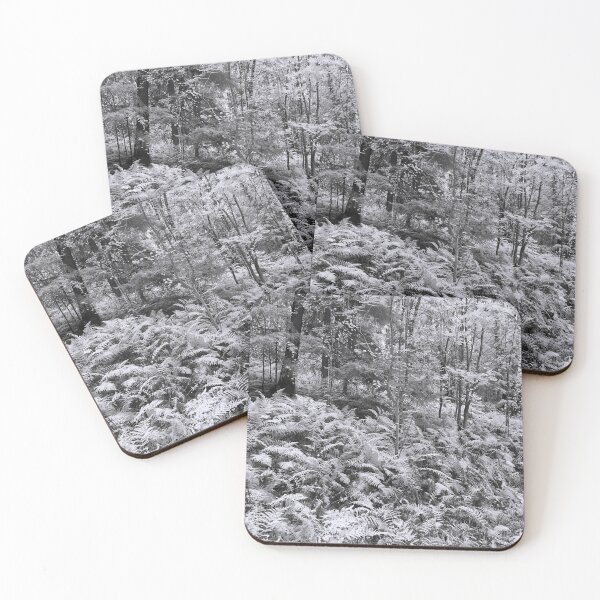 Item preview, Fern jungle bw designed and sold by Jouko Lehto Photography.