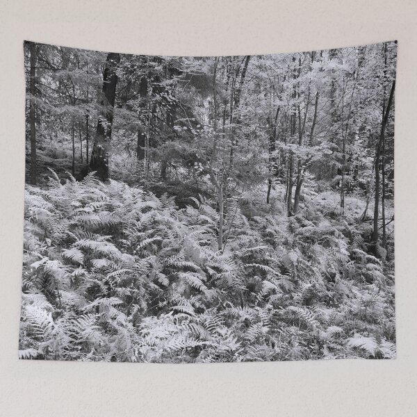 Item preview, Fern jungle bw designed and sold by Jouko Lehto Photography.