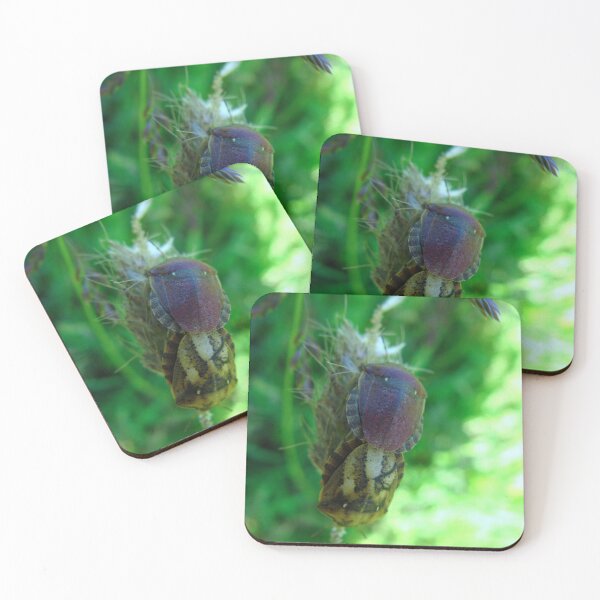 Item preview, Doble blindaje designed and sold by Sharon Perrett.
