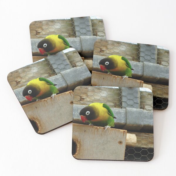 Item preview, Espinilla designed and sold by Sharon Perrett.
