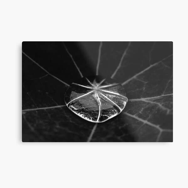 d e w Metal Print