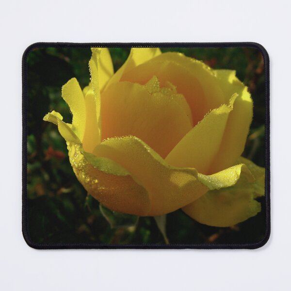 Item preview, Enlightenment designed and sold by Sharon Perrett.