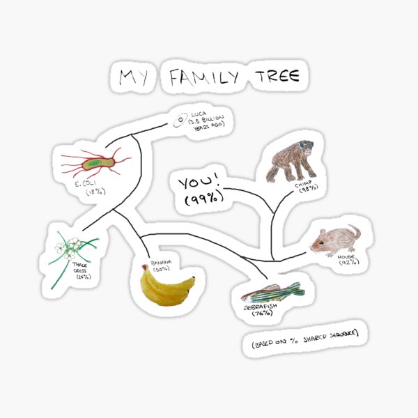 My Family Tree Sticker