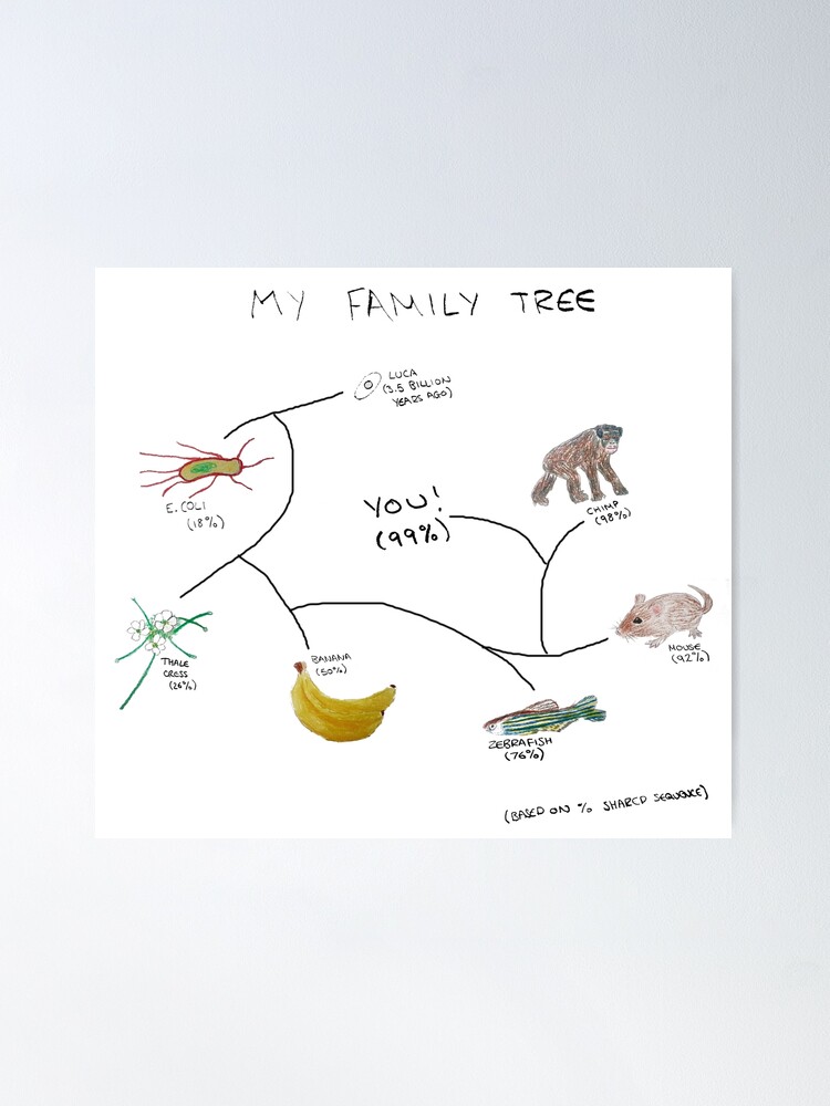 Finally completed – my family tree book – DRESSING THE LINES