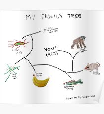 My Family Tree Poster