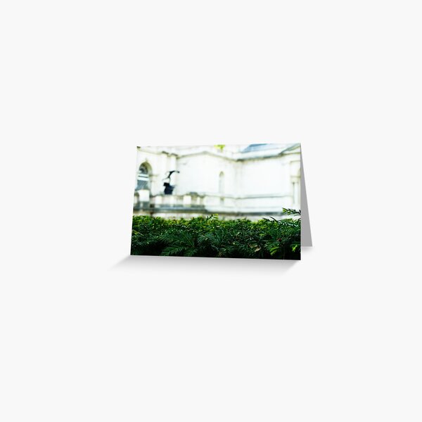 Moving Closer To Art Greeting Card