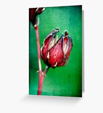 Origin Greeting Card