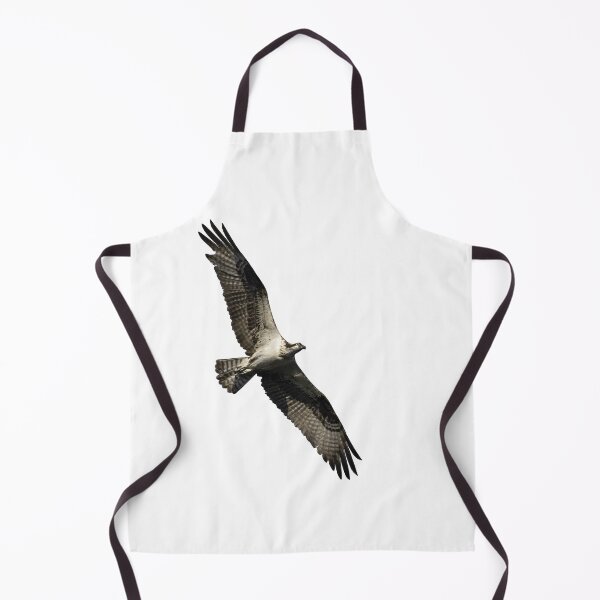 Item preview, Isolated Osprey 2022-1 designed and sold by Thomasyoung.