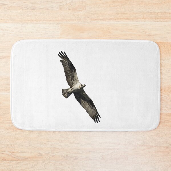 Item preview, Isolated Osprey 2022-1 designed and sold by Thomasyoung.