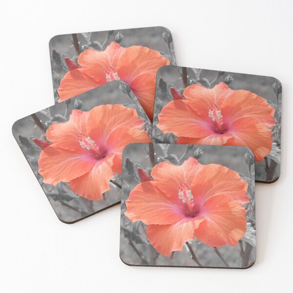 Item preview, Summer Hibiscus designed and sold by Jane Izzy Designs.