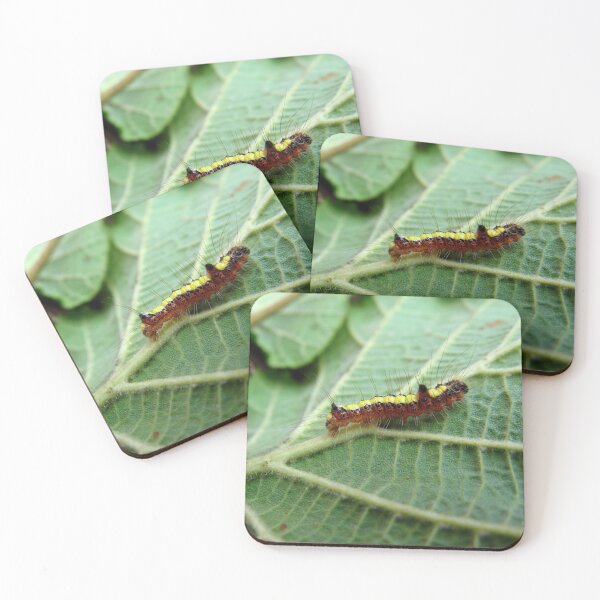 Item preview, Spike y amigo designed and sold by Sharon Perrett.