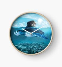 Tortoise Clock