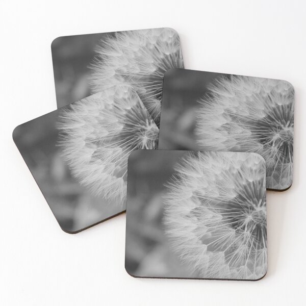 Item preview, Black & White Dandelion designed and sold by Jane Izzy Designs.