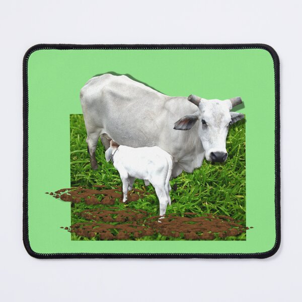 Item preview, Milking cow breeds designed and sold by Benlaniboutique.