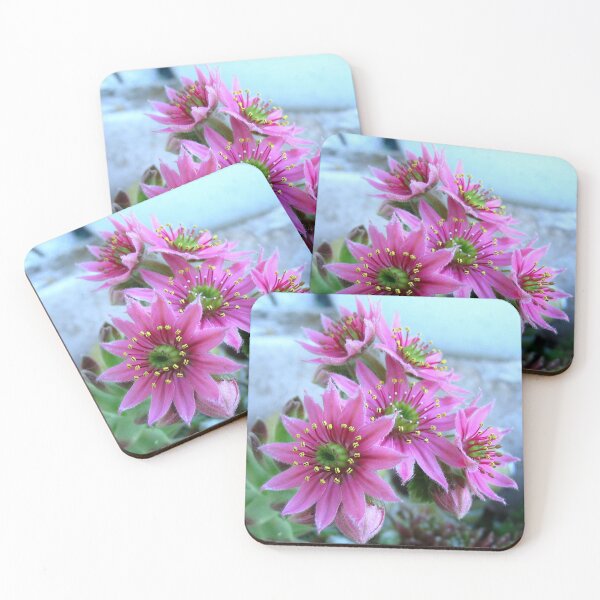 Item preview, Starburst......... designed and sold by Sharon Perrett.