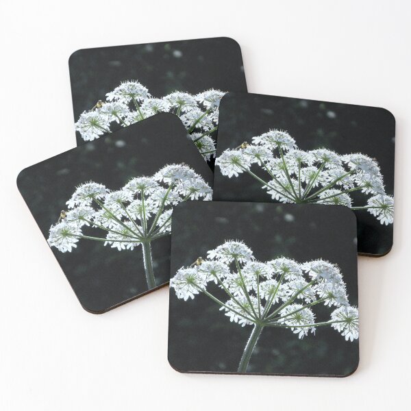 Item preview, Illuminating Beauty designed and sold by Sharon Perrett.