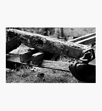 Sled Photographic Print