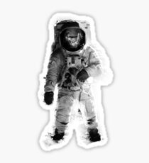 Space monkey Sticker