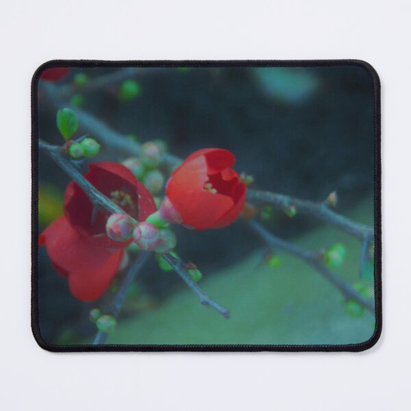 Item preview, red flowers designed and sold by Francespoppy.