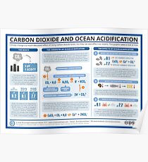 Die Chemie der Ozeanversauerung Poster