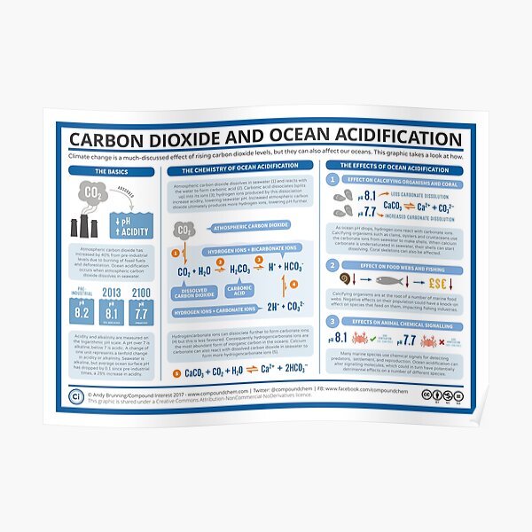 The Chemistry of Ocean Acidification Poster