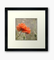 100 Years - In memory of fallen soldiers WW1 Framed Print