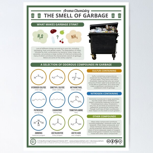 Compound Interest: Talking Trash – The Chemistry Behind the Smell of Garbage