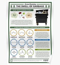 The Smell of Garbage Poster