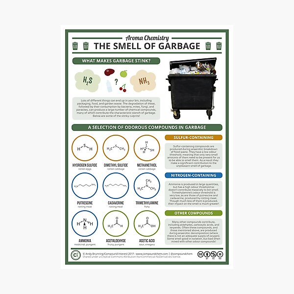 Item preview, The Smell of Garbage designed and sold by compoundchem.