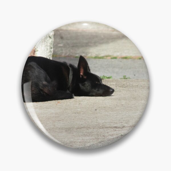 Item preview, dog sleeping designed and sold by Francespoppy.