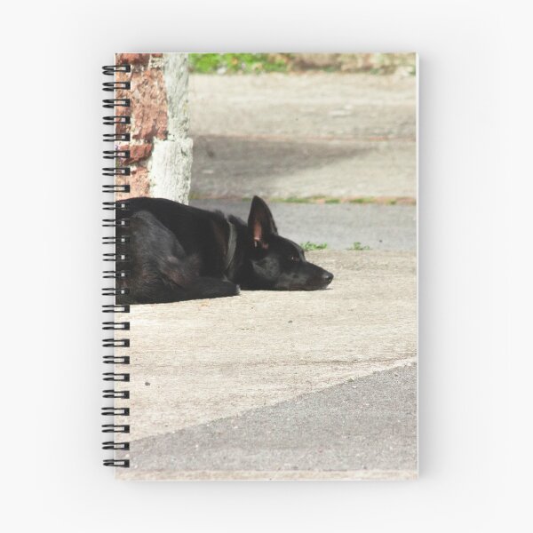 Item preview, dog sleeping designed and sold by Francespoppy.