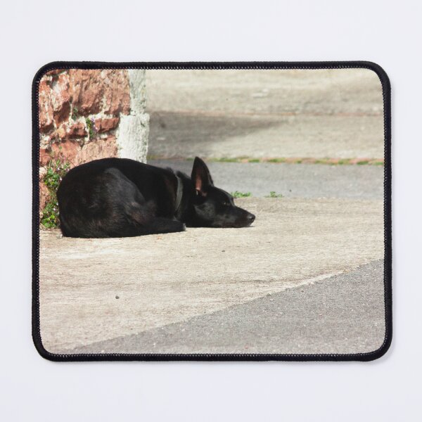 Item preview, dog sleeping designed and sold by Francespoppy.