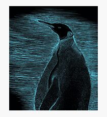 Penguin scraperboard - Blue Photographic Print
