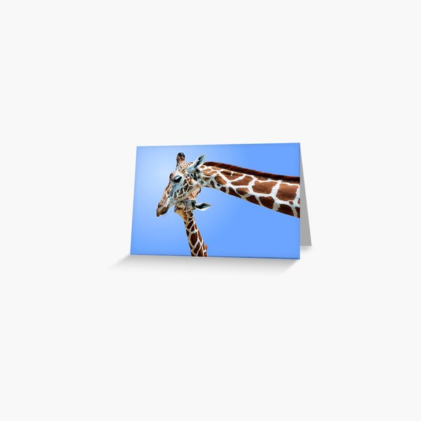 Item preview, AFFECTION designed and sold by Michael Sheridan.