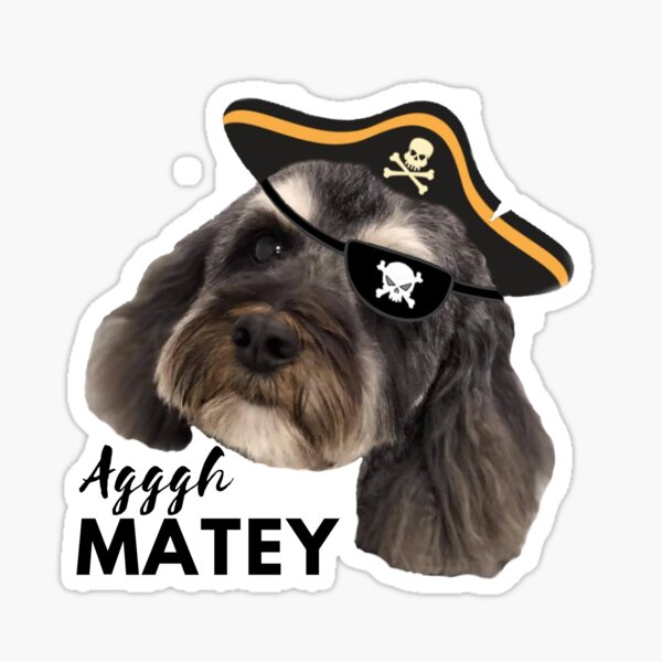 “Dog Pirate 2” Sticker for Sale by DDesignC | Redbubble