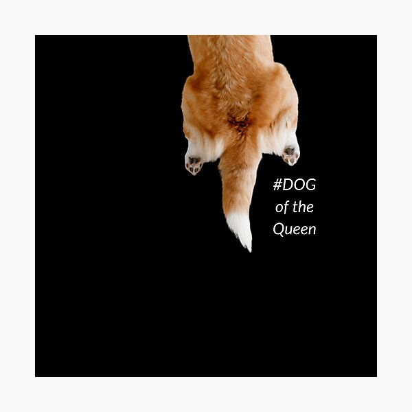 Queen Elizabeth II dog #souvenir Photographic Print