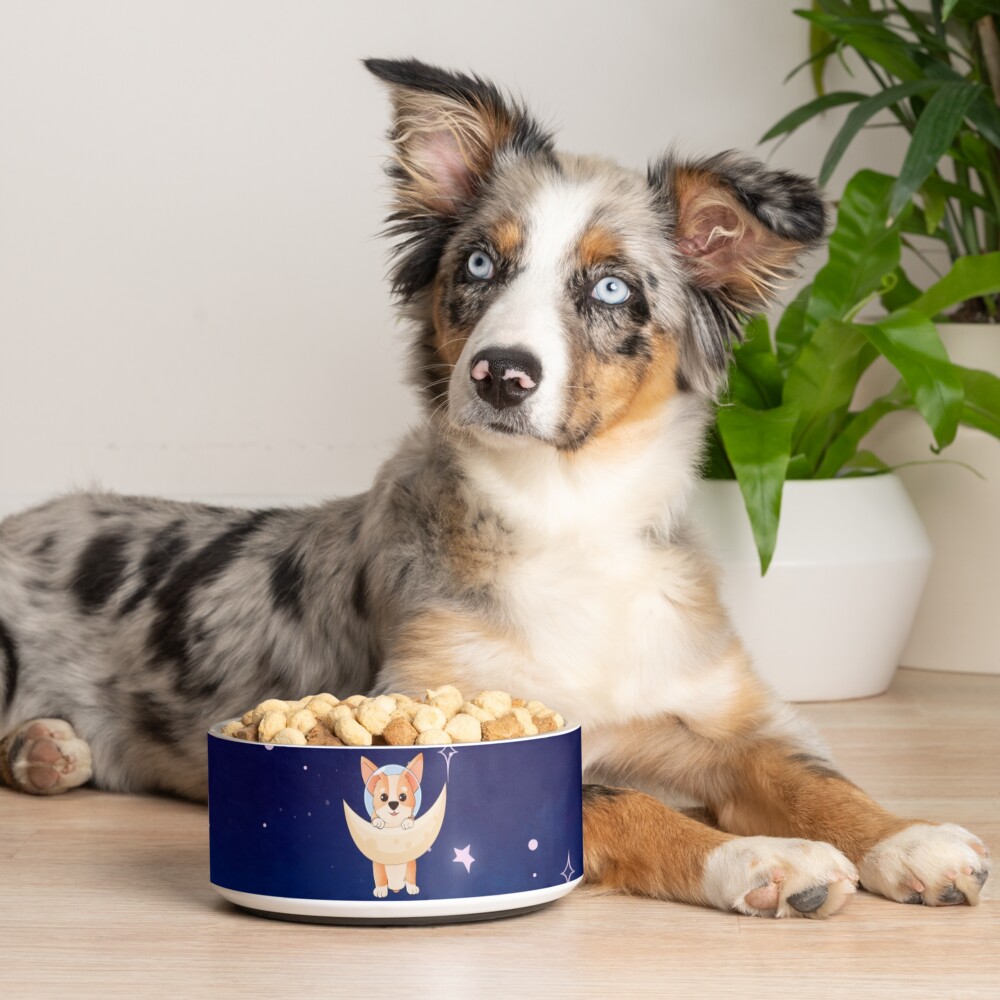 Corgi holding on to the moon Pet Bowl