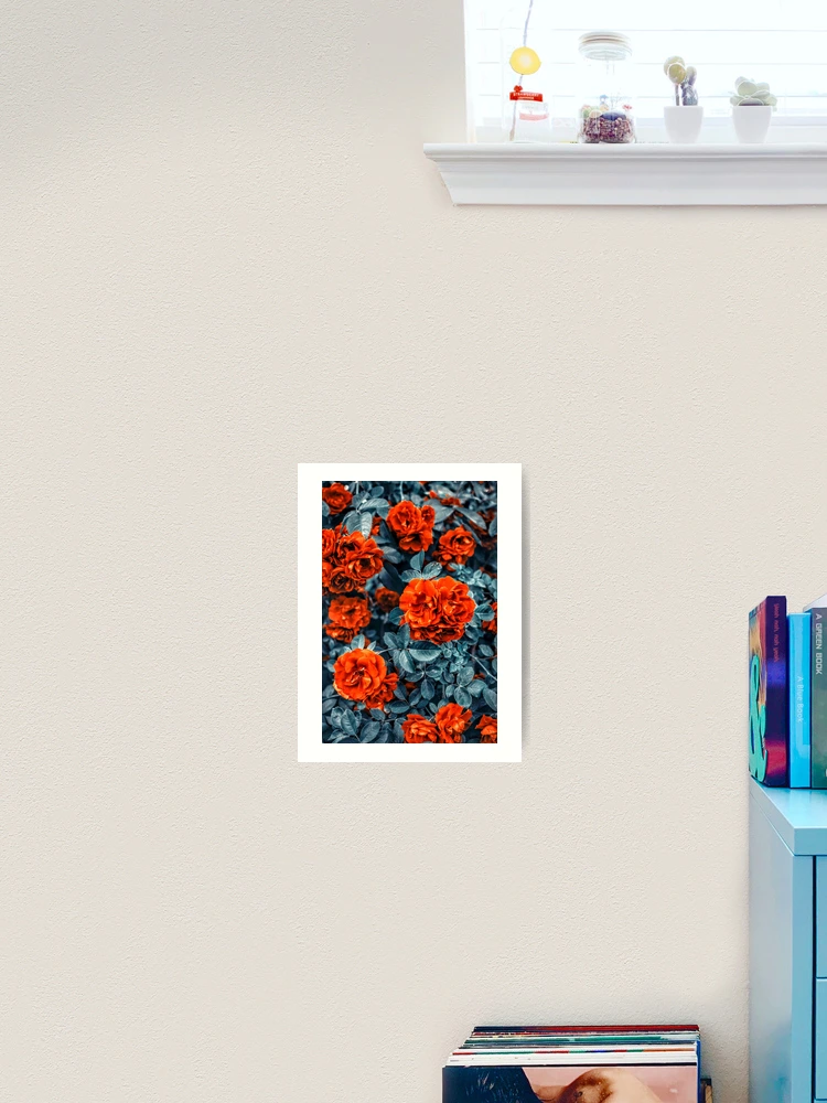Thumbnail 2 of 3, Art Print, Red Roses designed and sold by Rjaydesigns-.