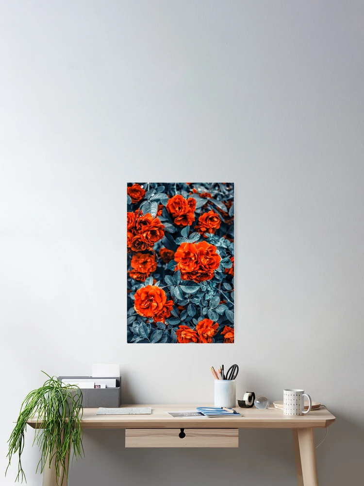 Thumbnail 2 of 3, Poster, Red Roses designed and sold by Rjaydesigns-.