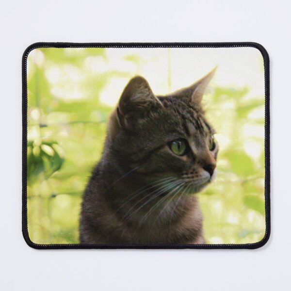 Item preview, tabby designed and sold by Francespoppy.