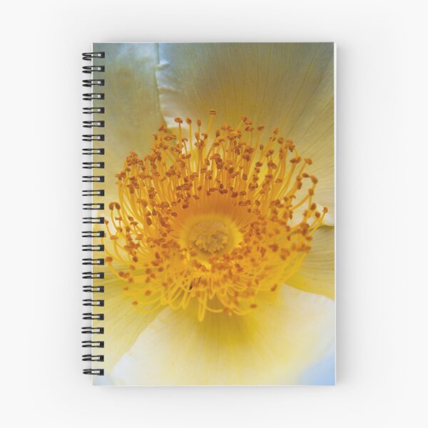 Item preview, From the garden of Sissinghurst Castle 1 designed and sold by eddiechui.