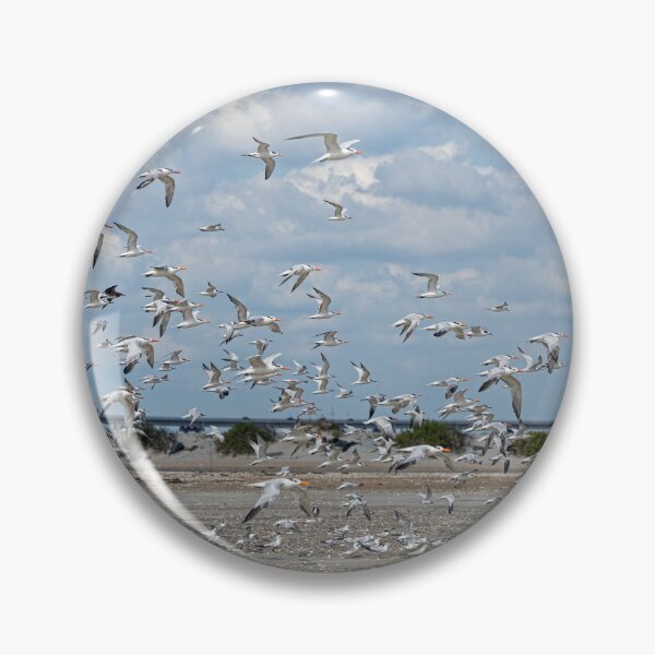 Item preview, Flock of Royal Terns Take Flight designed and sold by ShorelineImages.
