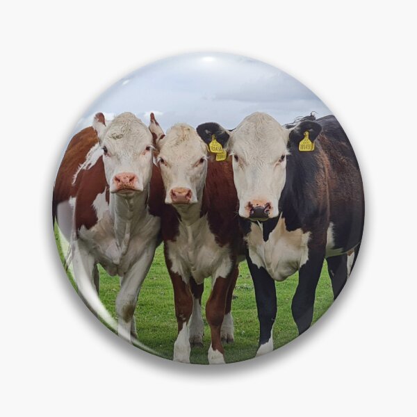 Item preview, Curious Cattle designed and sold by Kat Simmons.