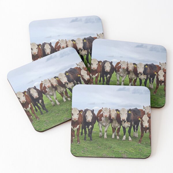 Item preview, Curious Cattle designed and sold by Kat Simmons.