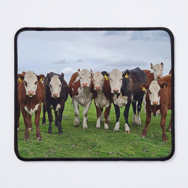Item preview, Curious Cattle designed and sold by Kat Simmons.