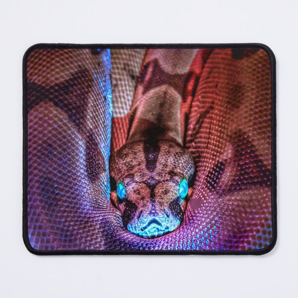 Item preview, Blue eyed snake designed and sold by Rjaydesigns-.