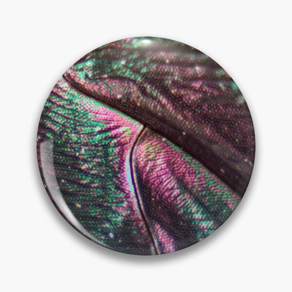 Item preview, Fly Wing 2 designed and sold by Microscope-Art.
