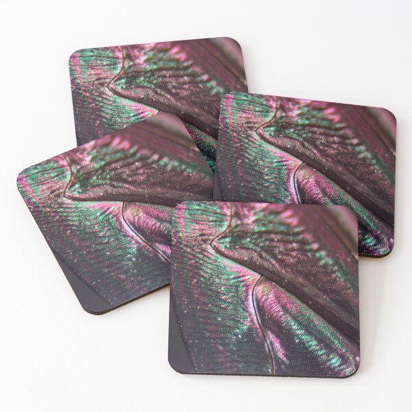 Item preview, Fly Wing 2 designed and sold by Microscope-Art.