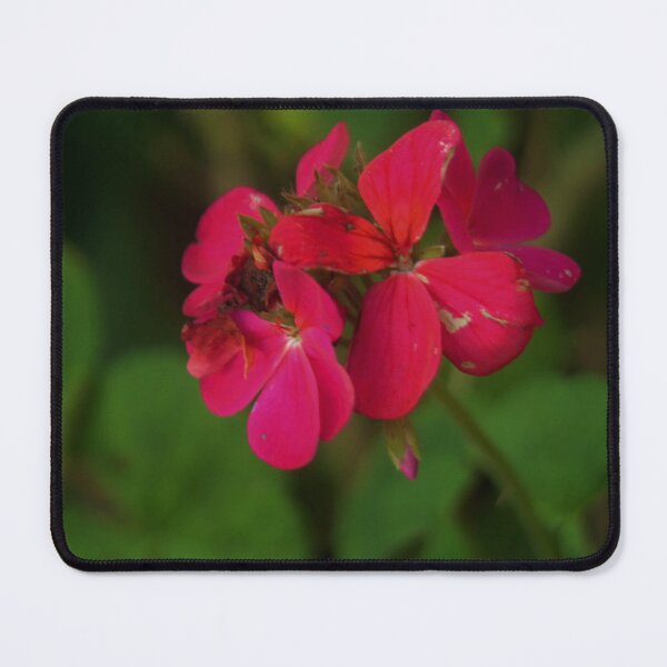 Item preview, dark pink flower designed and sold by Francespoppy.