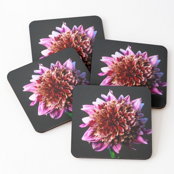Item preview, Mambo Dahlia Still LIfe designed and sold by jillianbutolphphoto.